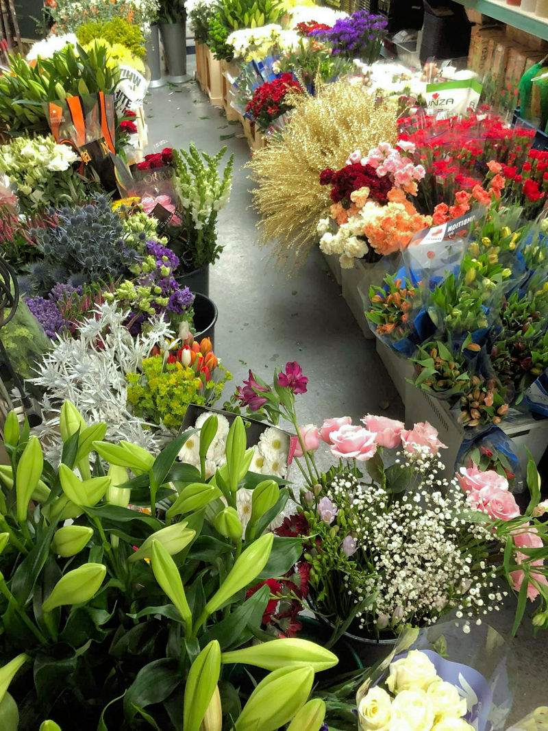 Woodlands Garden Centre Cumbria Water Garden Specialists FLOWER SHOP